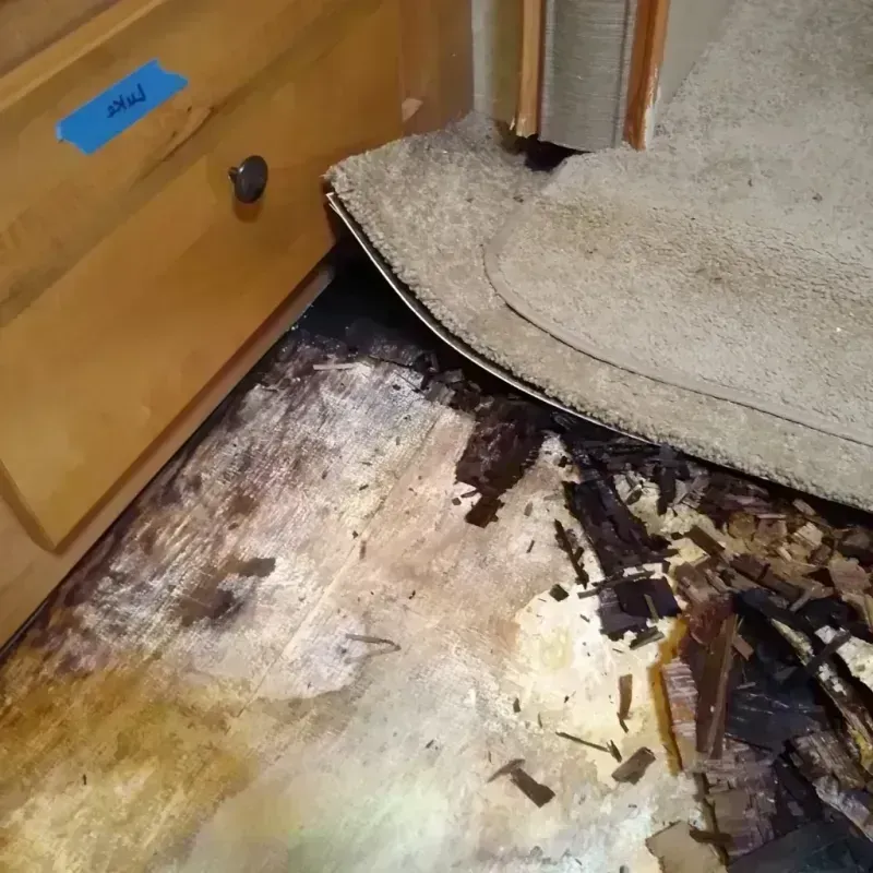 Wood Floor Water Damage in Florence, KY